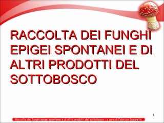 RACCOLTA DEI FUNGHI
EPIGEI SPONTANEI E DI
ALTRI PRODOTTI DEL
SOTTOBOSCO
1

 