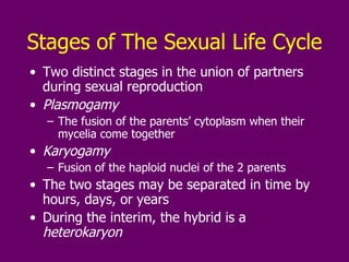 Stages of The Sexual Life Cycle Two distinct stages in the union of partners during sexual reproduction Plasmogamy The fusion of the parents’ cytoplasm when their mycelia come together Karyogamy  Fusion of the haploid nuclei of the 2 parents The two stages may be separated in time by hours, days, or years During the interim, the hybrid is a  heterokaryon 