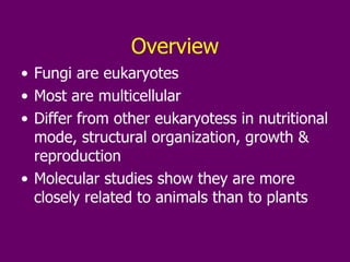 Overview Fungi are eukaryotes Most are multicellular Differ from other eukaryotess in nutritional mode, structural organization, growth & reproduction Molecular studies show they are more closely related to animals than to plants 