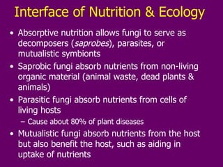 Interface of Nutrition & Ecology Absorptive nutrition allows fungi to serve as decomposers ( saprobes ), parasites, or mutualistic symbionts Saprobic fungi absorb nutrients from non-living organic material (animal waste, dead plants & animals) Parasitic fungi absorb nutrients from cells of living hosts Cause about 80% of plant diseases Mutualistic fungi absorb nutrients from the host but also benefit the host, such as aiding in uptake of nutrients 