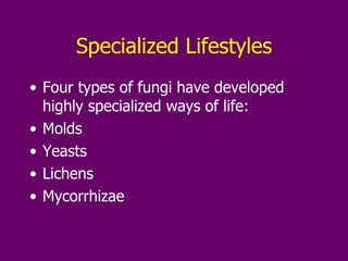 Specialized Lifestyles Four types of fungi have developed highly specialized ways of life: Molds Yeasts Lichens Mycorrhizae 