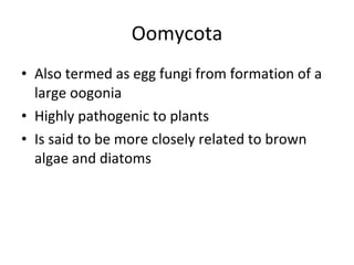 Oomycota Also termed as egg fungi from formation of a large oogonia Highly pathogenic to plants Is said to be more closely related to brown algae and diatoms 