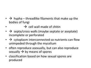    hypha – threadlike filaments that make up the bodies of fungi    cell wall made of chitin     septa/cross walls (maybe septate or aseptate) incomplete or perforated    cytoplasm interconnected so nutrients can flow unimpeded through the mycelium often reproduce asexually, but can also reproduce sexually    by means of spores classification based on how sexual spores are produced 