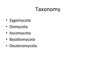 Taxonomy  Zygomycota Oomycota Ascomycota Basidiomycota Deuteromycota 
