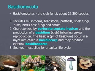 Fungi 1195182837648559-3 | PPT | Gardening | Home & Garden