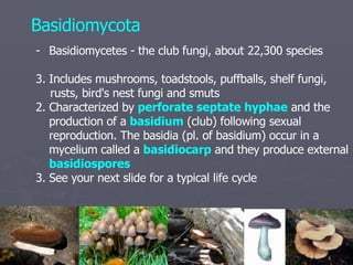 Fungi