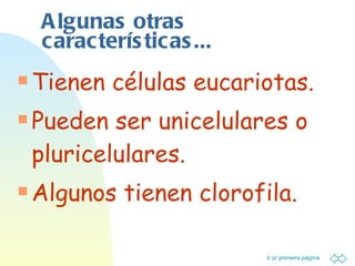 Algunas otras características... Tienen células eucariotas. Pueden ser unicelulares o pluricelulares. Algunos tienen clorofila. 