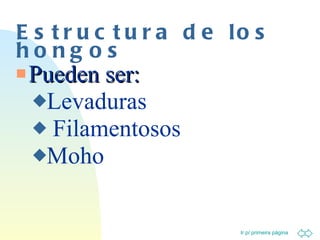 Estructura de los hongos Pueden ser: Levaduras Filamentosos Moho 