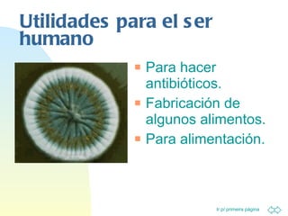 Utilidades para el ser humano Para hacer antibióticos. Fabricación de algunos alimentos. Para alimentación. 