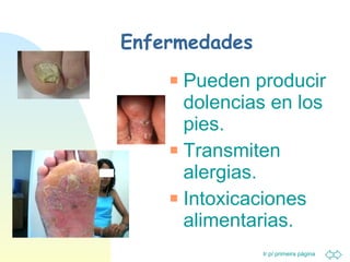 Enfermedades Pueden producir dolencias en los pies. Transmiten alergias. Intoxicaciones alimentarias. 