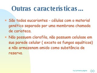 Outras características... São todos eucariontes - células com o material genético separado por uma membrana chamada de carioteca. Não possuem clorofila, não possuem celulose em sua parede celular ( exceto os fungos aquáticos) e não armazenam amido como substância de reserva . 