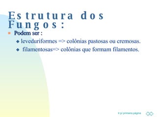 Estrutura dos Fungos: Podem ser : leveduriformes => colônias pastosas ou cremosas. filamentosas=> colônias que formam filamentos. 