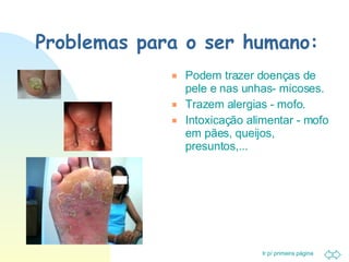 Problemas para o ser humano: Podem trazer doenças de pele e nas unhas- micoses. Trazem alergias - mofo. Intoxicação alimentar - mofo em pães, queijos, presuntos,... 