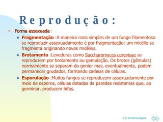 Reprodução: Forma assexuada  : Fragmentação  :A maneira mais simples de um fungo filamentoso se reproduzir assexuadamente é por fragmentação: um micélio se fragmenta originando novos micélios. Brotamento  :Leveduras como  Saccharomyces cerevisae  se reproduzem por brotamento ou gemulação. Os brotos (gêmulas) normalmente se separam do genior mas, eventualmente, podem permanecer grudados, formando cadeias de células. Esporulação  :Muitos fungos se reproduzem assexuadamente por meio de esporos, células dotadas de paredes resistentes que, ao germinar, produzem hifas. 