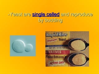 -Yeast are single celled and reproduce
              by budding
 