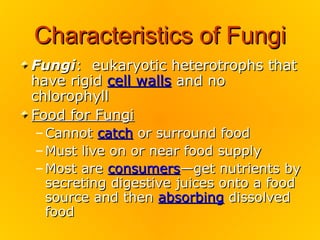 Characteristics of Fungi
Fungi: eukaryotic heterotrophs that
have rigid cell walls and no
chlorophyll
Food for Fungi
– Cannot catch or surround food
– Must live on or near food supply
– Most are consumers—get nutrients by
  secreting digestive juices onto a food
  source and then absorbing dissolved
  food
 