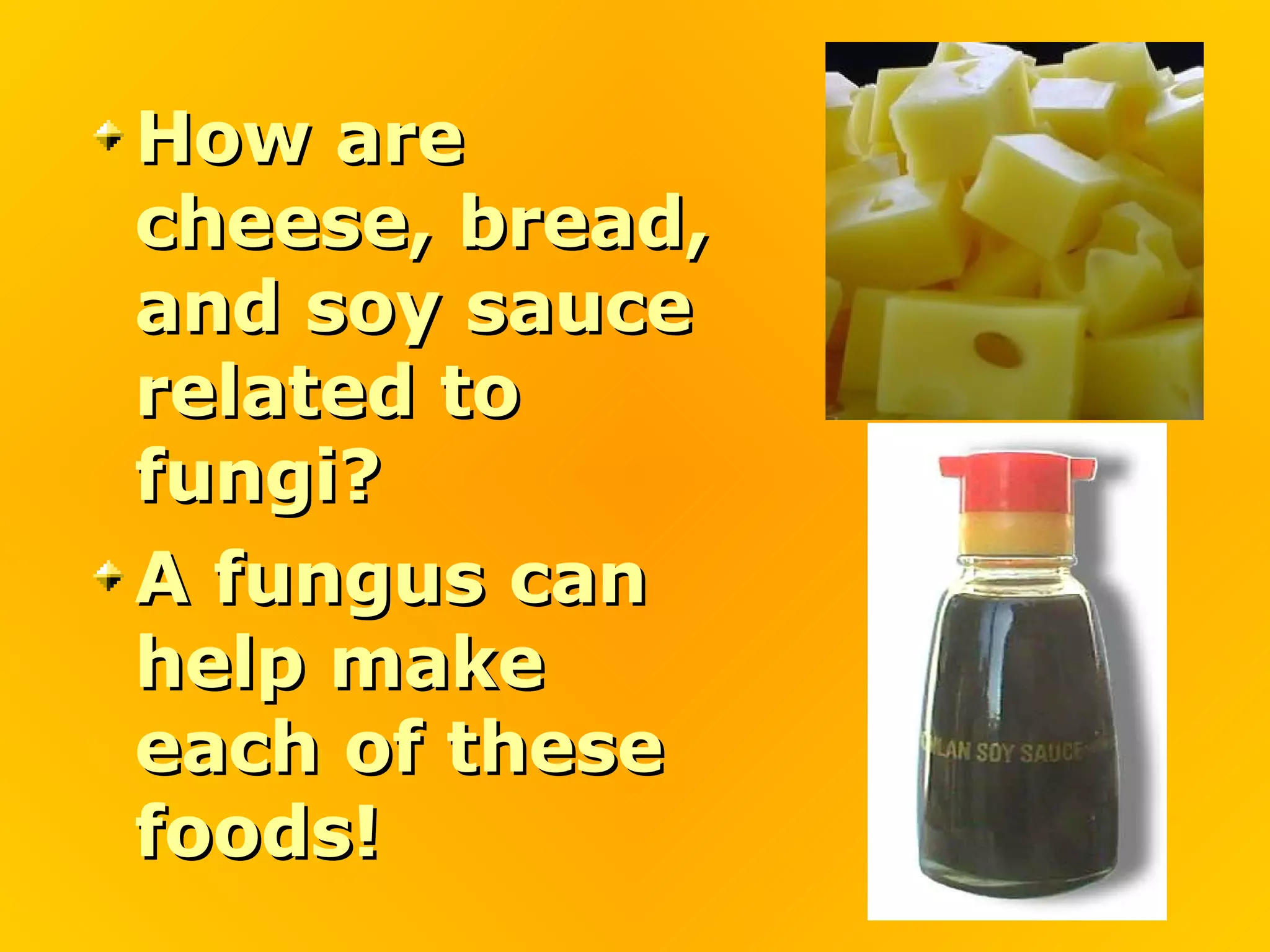 How are
cheese, bread,
and soy sauce
related to
fungi?
A fungus can
help make
each of these
foods!
 