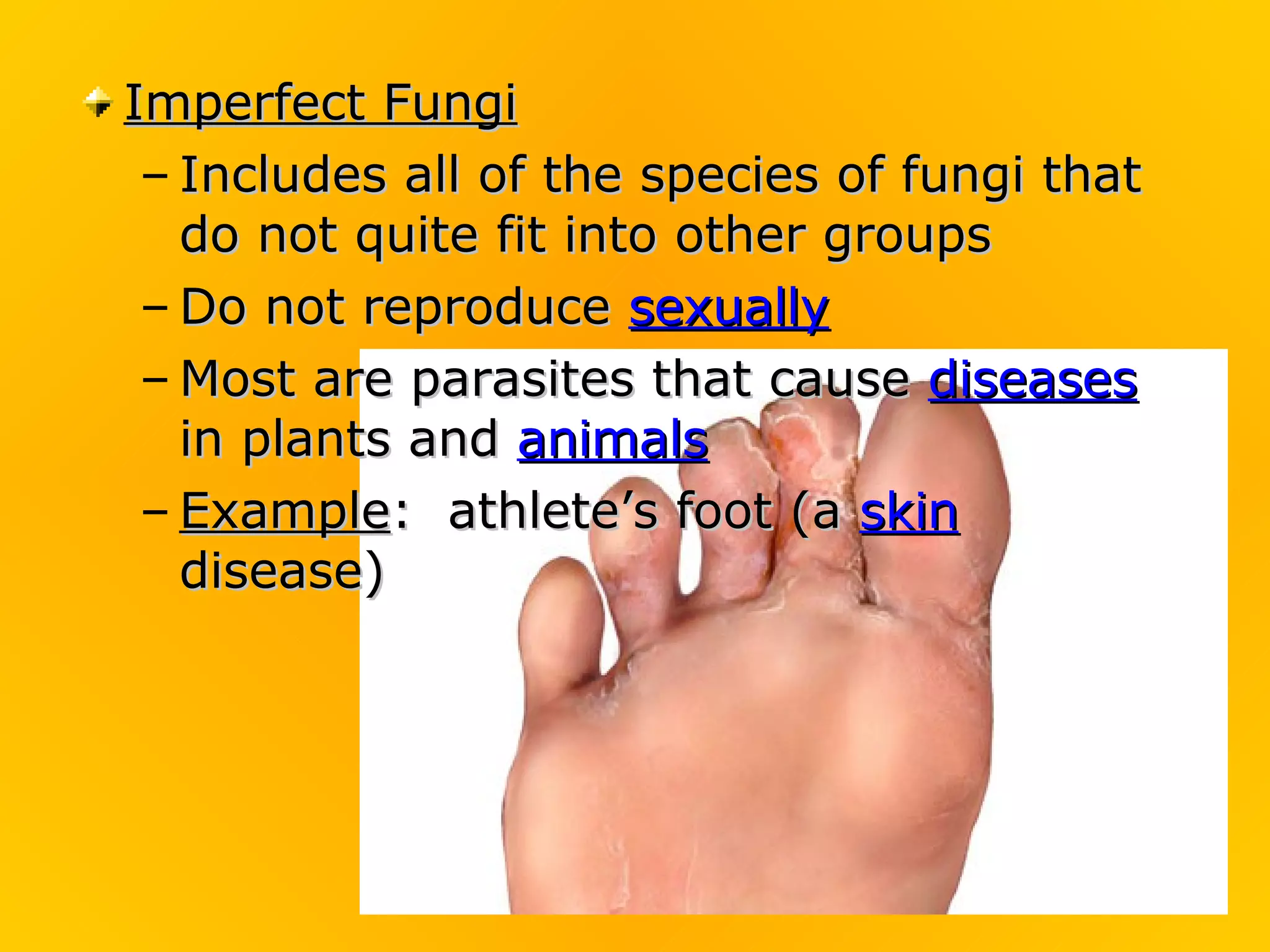Imperfect Fungi
 – Includes all of the species of fungi that
   do not quite fit into other groups
 – Do not reproduce sexually
 – Most are parasites that cause diseases
   in plants and animals
 – Example: athlete’s foot (a skin
   disease)
 
