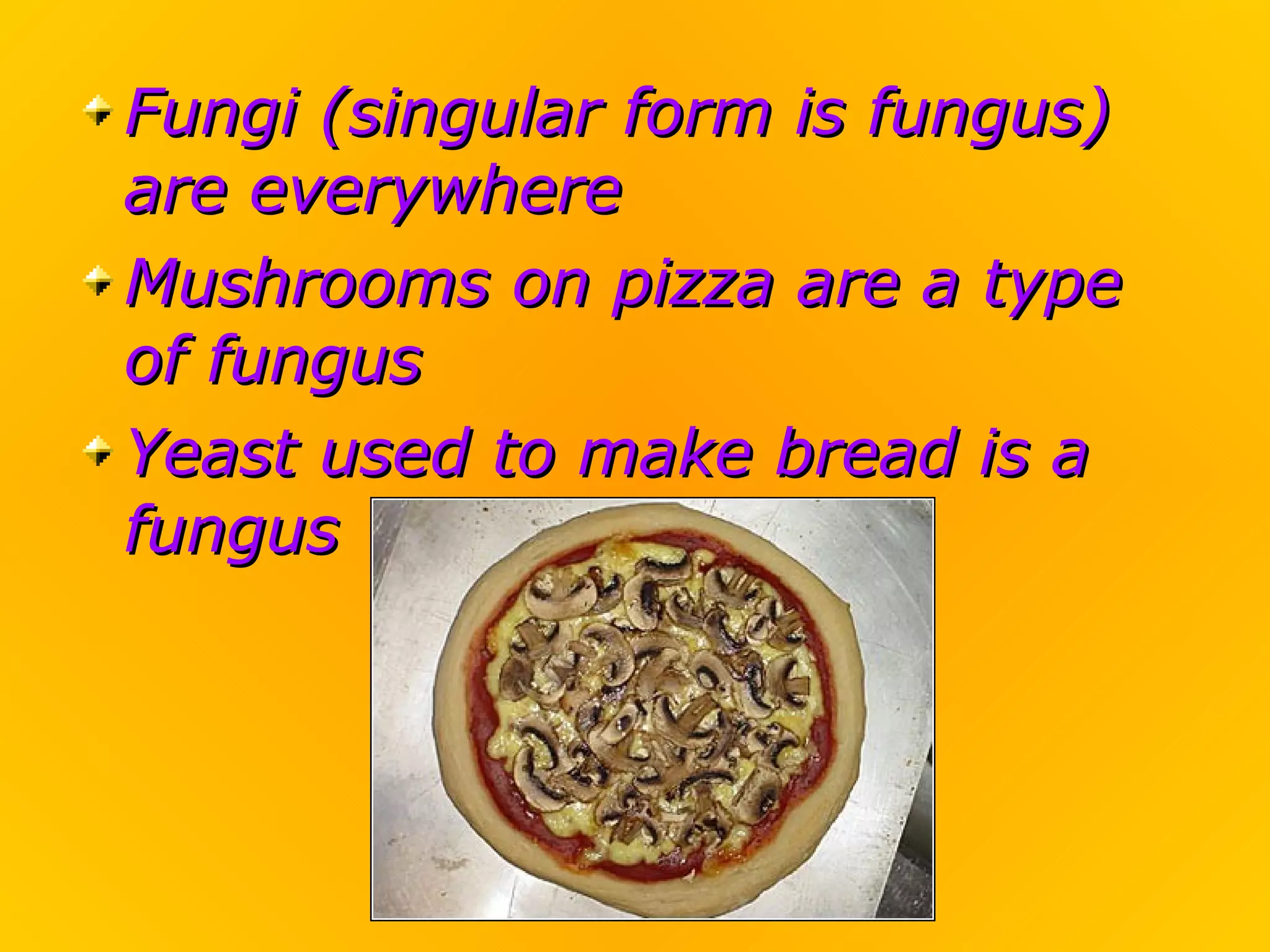 Fungi (singular form is fungus)
are everywhere
Mushrooms on pizza are a type
of fungus
Yeast used to make bread is a
fungus
 