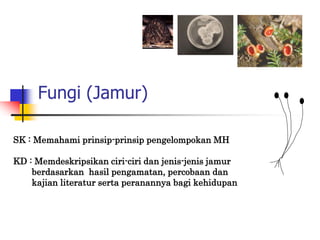 Fungi (Jamur)
SK : Memahami prinsip-prinsip pengelompokan MH
KD : Memdeskripsikan ciri-ciri dan jenis-jenis jamur
berdasarkan hasil pengamatan, percobaan dan
kajian literatur serta peranannya bagi kehidupan
 