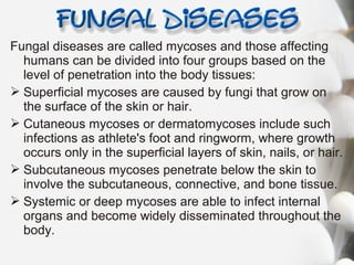 Fungal diseases are called mycoses and those affecting
humans can be divided into four groups based on the
level of penetration into the body tissues:
 Superficial mycoses are caused by fungi that grow on
the surface of the skin or hair.
 Cutaneous mycoses or dermatomycoses include such
infections as athlete's foot and ringworm, where growth
occurs only in the superficial layers of skin, nails, or hair.
 Subcutaneous mycoses penetrate below the skin to
involve the subcutaneous, connective, and bone tissue.
 Systemic or deep mycoses are able to infect internal
organs and become widely disseminated throughout the
body.
 