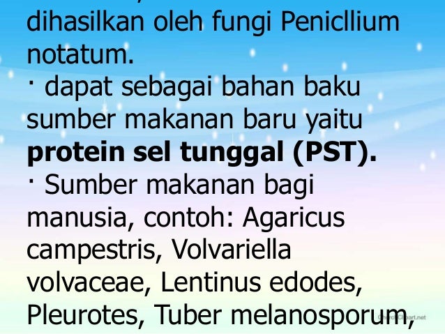 Contoh Hasil Observasi Pabrik Roti - Syd Thomposon 2012