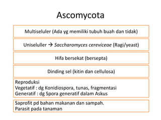 materi fungi untuk kelas 10 sma semester 1 | PPTX