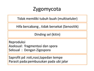 materi fungi untuk kelas 10 sma semester 1 | PPTX