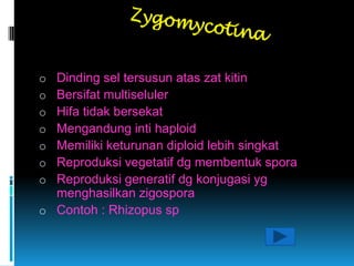 fungi ppt | PPTX