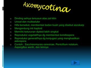 fungi ppt | PPT