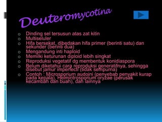 fungi ppt | PPT