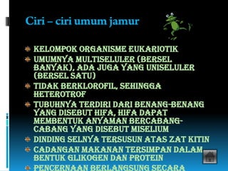 fungi ppt | PPTX