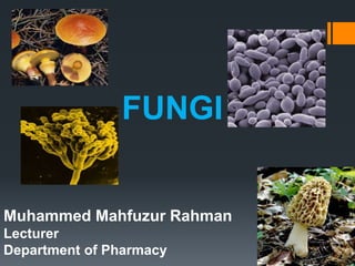 FUNGI 
Muhammed Mahfuzur Rahman 
Lecturer 
Department of Pharmacy 
 