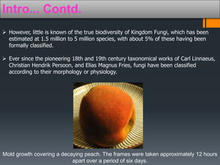 Intro... Contd. 
 However, little is known of the true biodiversity of Kingdom Fungi, which has been 
estimated at 1.5 million to 5 million species, with about 5% of these having been 
formally classified. 
 Ever since the pioneering 18th and 19th century taxonomical works of Carl Linnaeus, 
Christian Hendrik Persoon, and Elias Magnus Fries, fungi have been classified 
according to their morphology or physiology. 
Mold growth covering a decaying peach. The frames were taken approximately 12 hours 
apart over a period of six days. 
 