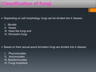 Classification of fungi 
 Depending on cell morphology, fungi can be divided into 4 classes: 
I. Moulds 
II. Yeasts 
III. Yeast like fungi and 
IV. Dimorphic fungi 
 Based on their sexual spore formation fungi are divided into 4 classes: 
I. Phycomycetes 
II. Ascomycetes 
III. Basidiomycetes 
IV. Fungi imperfecti 
 