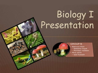 Biology I
Presentation
 