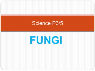 FUNGI
Science P3/5
 