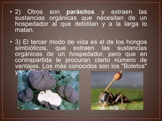 • 2) Otros son parásitos y extraen las
sustancias orgánicas que necesitan de un
hospedador al que debilitan y a la larga lo
matan.
• 3) El tercer modo de vida es el de los hongos
simbióticos, que extraen las sustancias
orgánicas de un hospedador, pero que en
contrapartida le procuran cierto número de
ventajas. Los más conocidos son los "Boletos"
y las "Trufas".
 