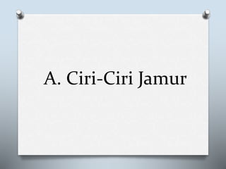 A. Ciri-Ciri Jamur
 