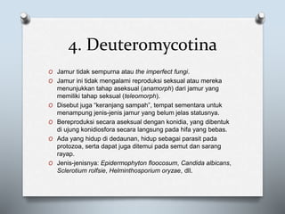 4. Deuteromycotina
O Jamur tidak sempurna atau the imperfect fungi.
O Jamur ini tidak mengalami reproduksi seksual atau mereka
menunjukkan tahap aseksual (anamorph) dari jamur yang
memiliki tahap seksual (teleomorph).
O Disebut juga “keranjang sampah”, tempat sementara untuk
menampung jenis-jenis jamur yang belum jelas statusnya.
O Bereproduksi secara aseksual dengan konidia, yang dibentuk
di ujung konidiosfora secara langsung pada hifa yang bebas.
O Ada yang hidup di dedaunan, hidup sebagai parasit pada
protozoa, serta dapat juga ditemui pada semut dan sarang
rayap.
O Jenis-jenisnya: Epidermophyton floocosum, Candida albicans,
Sclerotium rolfsie, Helminthosporium oryzae, dll.
 