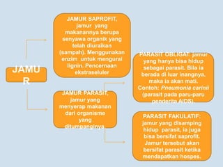 JAMUR SAPROFIT,
jamur yang
makanannya berupa
senyawa organik yang
telah diuraikan
(sampah). Menggunakan
enzim untuk mengurai
lignin. Pencernaan
ekstraseluler
JAMUR PARASIT,
jamur yang
menyerap makanan
dari organisme
yang
ditumpanginya.
PARASIT OBLIGAT: jamur
yang hanya bisa hidup
sebagai parasit. Bila ia
berada di luar inangnya,
maka ia akan mati.
Contoh: Pneumonia carinii
(parasit pada paru-paru
penderita AIDS).
PARASIT FAKULATIF:
jamur yang disamping
hidup parasit, ia juga
bisa bersifat saprofit.
Jamur tersebut akan
bersifat parasit ketika
mendapatkan hospes.
JAMU
R
 