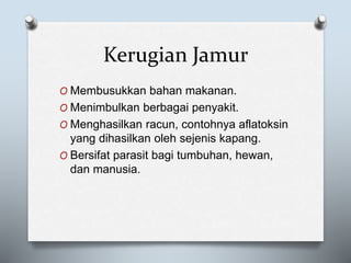Kerugian Jamur
O Membusukkan bahan makanan.
O Menimbulkan berbagai penyakit.
O Menghasilkan racun, contohnya aflatoksin
yang dihasilkan oleh sejenis kapang.
O Bersifat parasit bagi tumbuhan, hewan,
dan manusia.
 