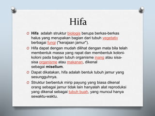 Hifa
O Hifa adalah struktur biologis berupa berkas-berkas
halus yang merupakan bagian dari tubuh vegetativ
berbagai fungi ("kerajaan jamur").
O Hifa dapat dengan mudah dilihat dengan mata bila telah
membentuk massa yang rapat dan membentuk koloni-
koloni pada bagian tubuh organisme inang atau sisa-
sisa organisme atau makanan, dikenal
sebagai miselium.
O Dapat dikatakan, hifa adalah bentuk tubuh jamur yang
sesungguhnya.
O Struktur berbentuk mirip payung yang biasa dikenal
orang sebagai jamur tidak lain hanyalah alat reproduksi
yang dikenal sebagai tubuh buah, yang muncul hanya
sewaktu-waktu.
 
