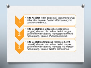 1.
• Hifa Aseptat (tidak bersepta), tidak mempunyai
sekat atau septum. Contoh: Rhizopus oryzae
dan Mucor mucedo.
2.
• Hifa Septat Uninukleus (bersepta berinti
tunggal), disusun oleh sel-sel berinti tunggal
dan memiliki sekat yang membaginya menjadi
ruang-ruang. Contoh: Puccinia graminis.
3.
• Hifa Septat Multinukleus (bersepta berinti
banyak), disusun oleh sel-sel berinti banyak
dan memiliki sekat yang membagi hifa menjadi
ruang-ruang. Contoh: Nectria cinnabarina.
 