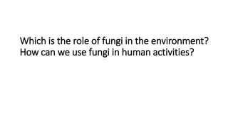 Which is the role of fungi in the environment?
How can we use fungi in human activities?
 