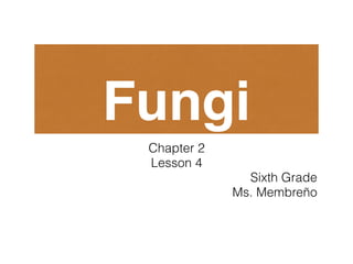 Fungi
Chapter 2
Lesson 4
Sixth Grade
Ms. Membreño
 