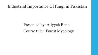 Industrial Importance Of fungi in Pakistan
Presented by: Atiyyah Bano
Course title: Forest Mycology
 