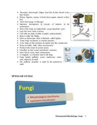 Pharmaceutical Microbiology> Fungi 3
 Absorptive heterotrophs (Digest food first & then absorb it into
their bodies)
 Release digestive enzyme to break down organic material or their
host.
 Store food energy as Glycogen.
 Important decomposers & recycles of nutrients in the
environment.
 Most of the Fungi are multicellular except unicellular yeast.
 Lack true roots, stems or leaves.
 Cell walls are made of chitin (complex polysaccharide)
 Body is called the Thallus.
 Grow as microscopic tubes or filaments called hyphae.
 Some Fungi are internal or external parasites.
 A few fungi act like predators & capture prey like roundworms.
 Some are edible, while others are poisonous.
 Produce both sexual & asexual spores.
 Classified by their sexual reproductive structures.
 Grow best in warm, moist environments.
 A Fungicide is a chemical used to kill fungi.
 Fungi Include puffballs, yeasts, mushrooms, smuts,
rusts, ringworm & mold.
 The antibiotic penicillin is made by the penicillium
mold.
TPYES OF FUNGI
 