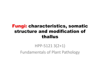 Fungi: characteristics, somatic
structure and modification of
thallus
HPP-5121 3(2+1)
Fundamentals of Plant Pathology
 