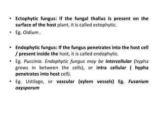 • Ectophytic fungus: If the fungal thallus is present on the
surface of the host plant, it is called ectophytic.
• Eg. Oidium .
• Endophytic fungus: If the fungus penetrates into the host cell
/ present inside the host, it is called endophytic.
• Eg. Puccinia. Endophytic fungus may be intercellular (hypha
grows in between the cells), or intra cellular ( hypha
penetrates into host cell).
• Eg. Ustilago, or vascular (xylem vessels) Eg. Fusarium
oxysporum
 